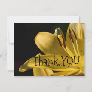 *'Li-Yellow' Design, Postkarte