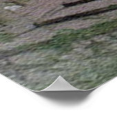 Lian Chi Poster (Ecke)