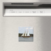 Lianas Ransom-Magnet Magnet (In Situ (Geschirrspüler))