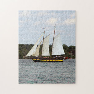 Liana's Ransom-Puzzle Puzzle