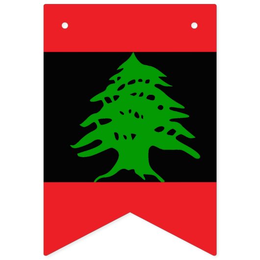 Libanesische Flagge Invertiert Schwarz, Libanon-Pa (Zweite Fahne)