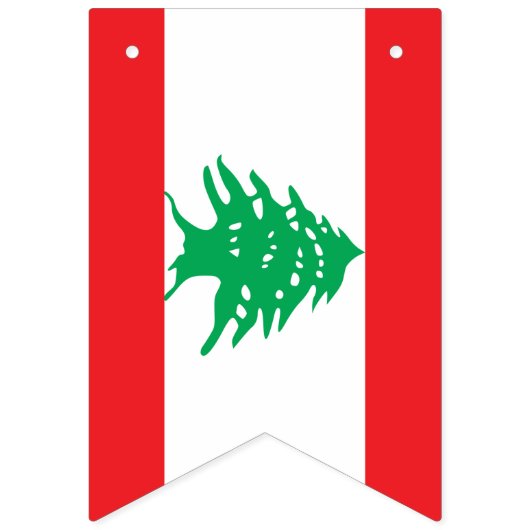 Libanesische Flagge & Party Libanon Banner / Hochz (Zweite Fahne)