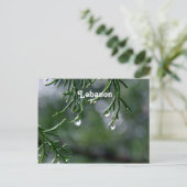 Libanon Postkarte (Stehend Vorderseite)