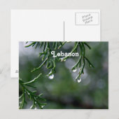 Libanon Postkarte (Vorne/Hinten)