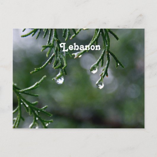 Libanon Postkarte (Vorderseite)