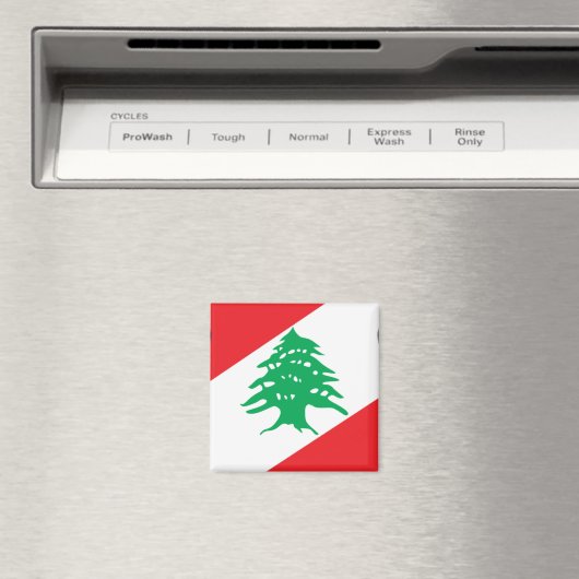 Libanon-Wappen Magnet (In Situ (Geschirrspüler))