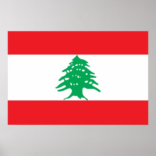 Libanonflagge Poster (Vorne)