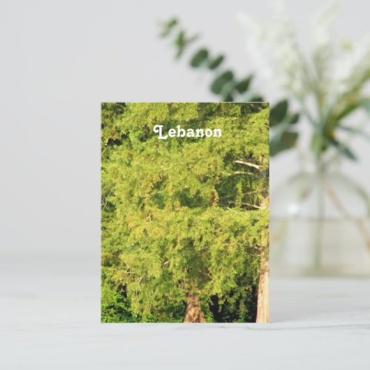 Libanonzeder Postkarte (Stehend Vorderseite)