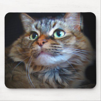 libby Katze mousepad
