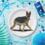 LIBBY PAPPTELLER (Party)