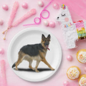 LIBBY PAPPTELLER (Party)