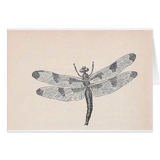 Libelle (Vorderseite (Horizontal))