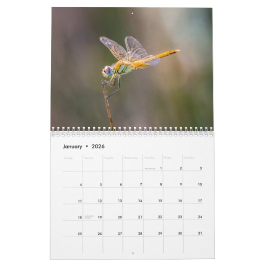 Libelle 2025 kalender (Jan 2026)