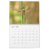 Libelle 2025 kalender (Mär 2027)