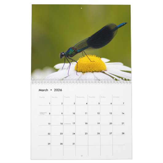 Libelle 2025 kalender (Mär 2026)