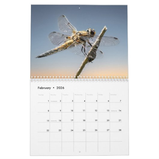 Libelle 2025 kalender (Feb 2026)