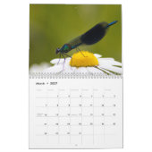 Libelle 2027 kalender (Mär 2027)