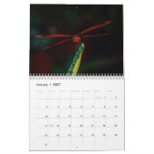 Libelle 2027 kalender (Jan 2027)