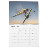 Libelle 2027 kalender (Feb 2027)
