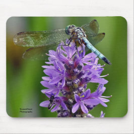 Libelle 2 mousepad