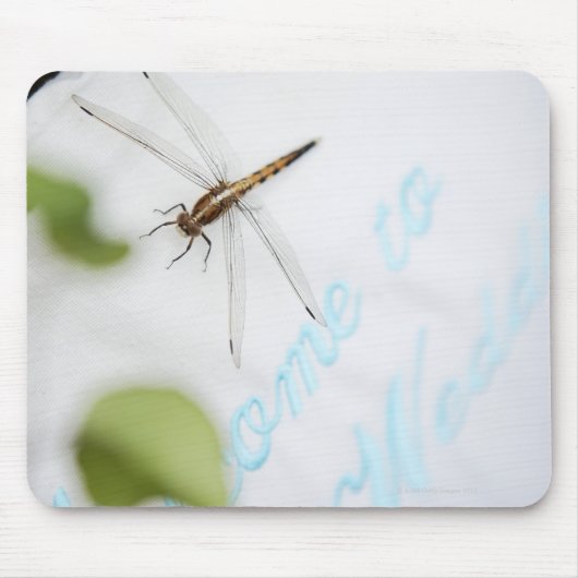 Libelle 4 mousepad (Vorne)