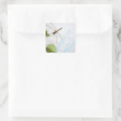 Libelle 4 quadratischer aufkleber (Tasche)