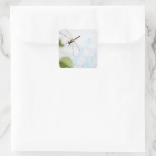 Libelle 4 quadratischer aufkleber (Tasche)