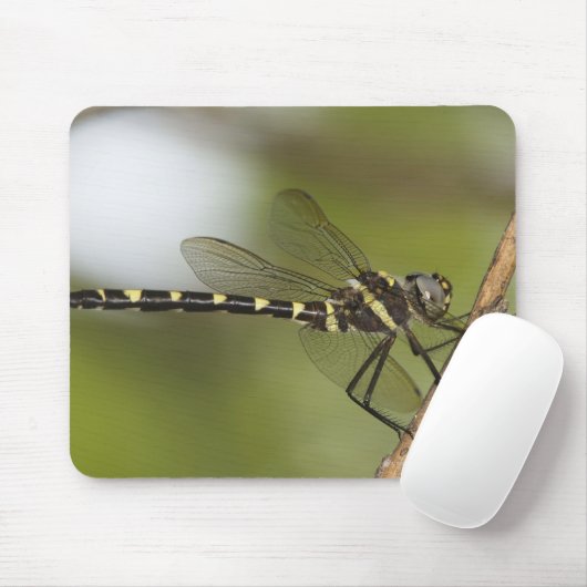 Libelle 5 mousepad (Mit Mouse)