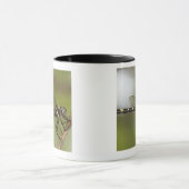 Libelle 5 tasse (Zentrum)