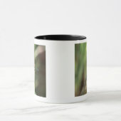 Libelle 5 tasse (Zentrum)