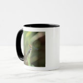 Libelle 5 tasse (Vorderseite Links)