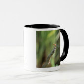 Libelle 5 tasse (VorderseiteRechts)