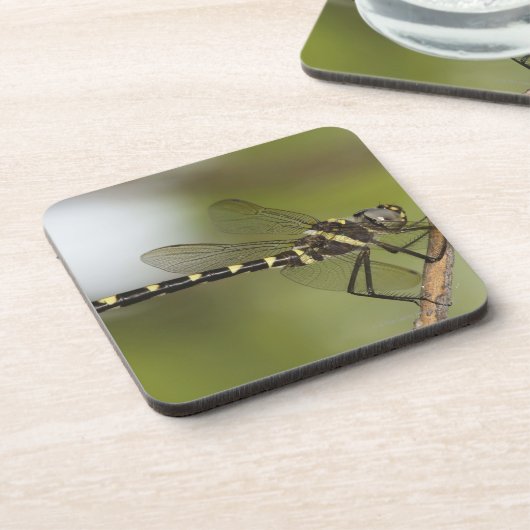 Libelle 5 untersetzer (Linke Seite)