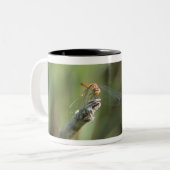 Libelle 5 zweifarbige tasse (Vorderseite Links)
