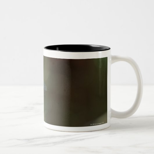 Libelle 5 zweifarbige tasse (Rechts)