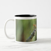Libelle 5 zweifarbige tasse (Links)