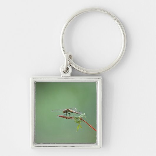 Libelle 6 schlüsselanhänger (Vorne)