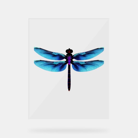 Libelle Acrylschild (Vorderseite)