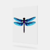 Libelle Acrylschild (Winkel)