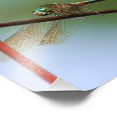 Libelle am Drahtzaun Nah 8x8 Fotodruck (Ecke)