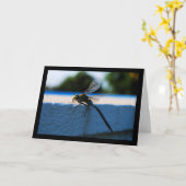 Libelle auf dem Sims Karte (Gelbe Blume)