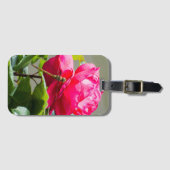 Libelle auf der Blume der rote Rose Gepäckanhänger (Vorderseite (Horizontal))