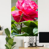 Libelle auf der Blume der rote Rose Poster (Heimbüro)