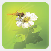 Libelle auf einem Aufkleber auf der Blume (Vorderseite)