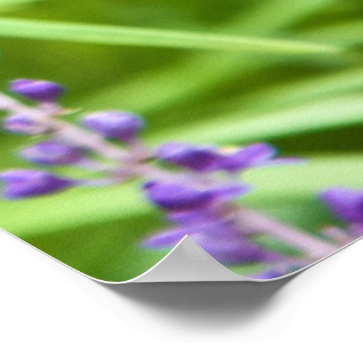 Libelle auf einer Blume Poster (Ecke)