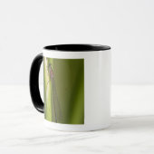 Libelle auf geknospter Iris Tasse (Vorderseite Links)
