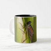 Libelle auf geknospter Iris Zweifarbige Tasse (Vorderseite Links)