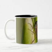 Libelle auf geknospter Iris Zweifarbige Tasse (Links)