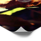 Libelle auf getrocknetem Blätter Nah Poster (Ecke)