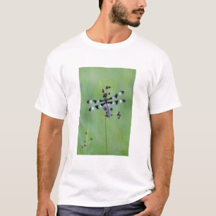Libelle auf Gras sitzend, Kanada T-Shirt